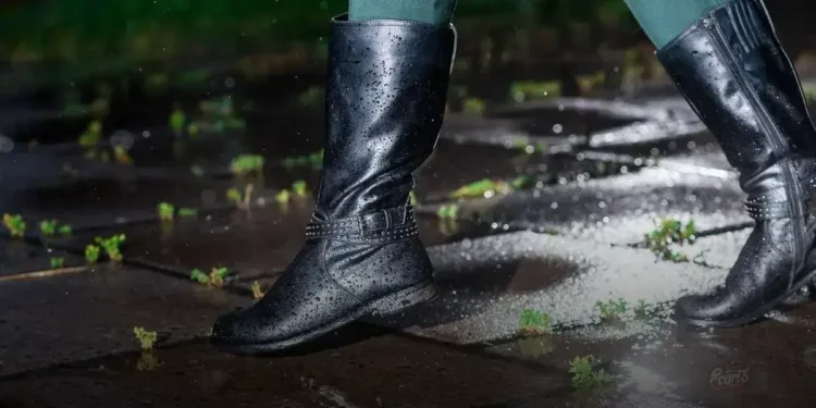 Bota feminina com brilho