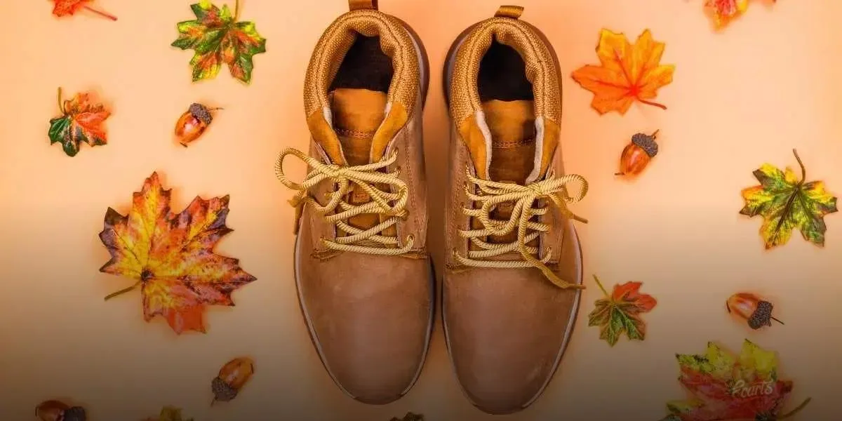 Como Escolher a Bota Feminina Preta Ideal para Cada Ocasião Como Escolher a Bota Feminina Preta Ideal para Cada Ocasião