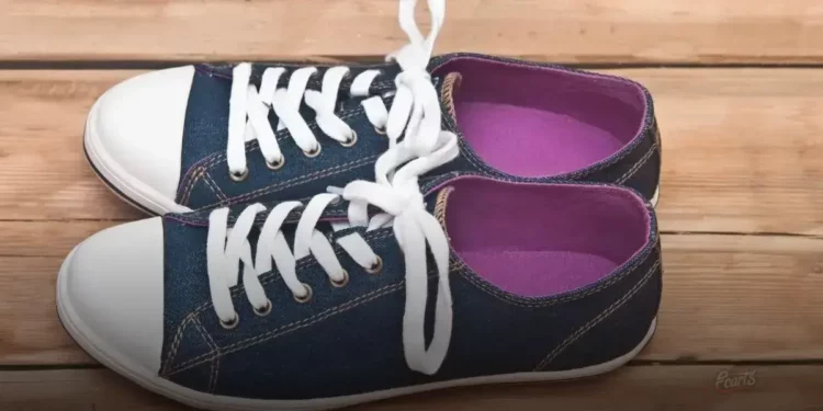 Tênis Feminino Casual Moderno