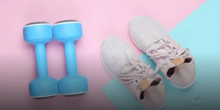 Tênis Feminino Casual Urbano