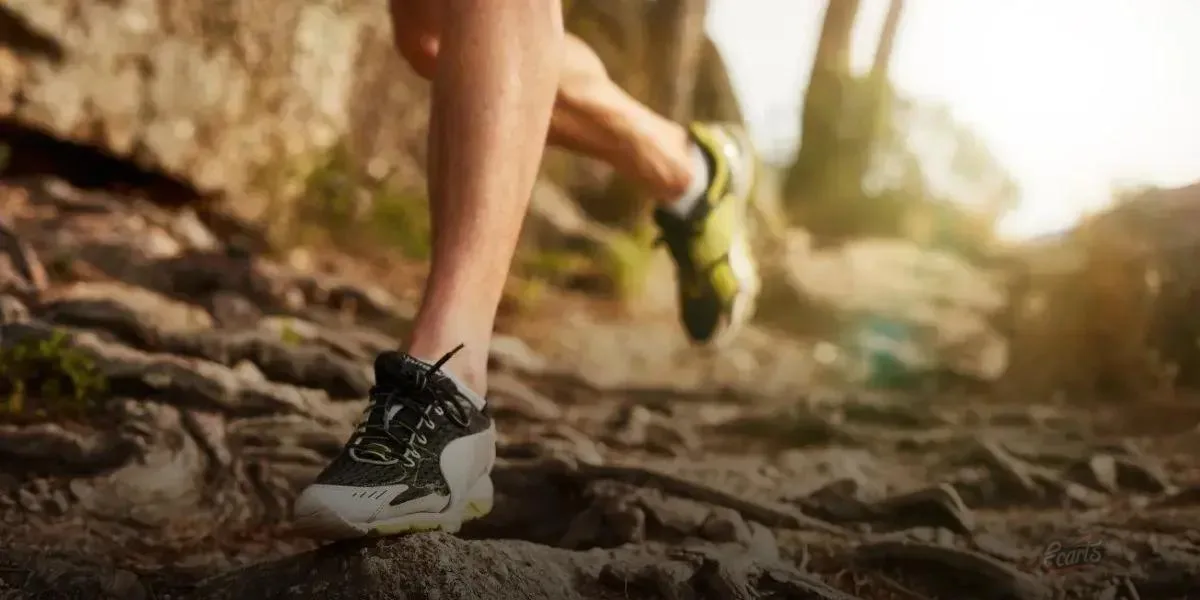 As Melhores Marcas e Modelos de Tênis Esportivo Masculino do Ano As Melhores Marcas e Modelos de Tênis Esportivo Masculino do Ano