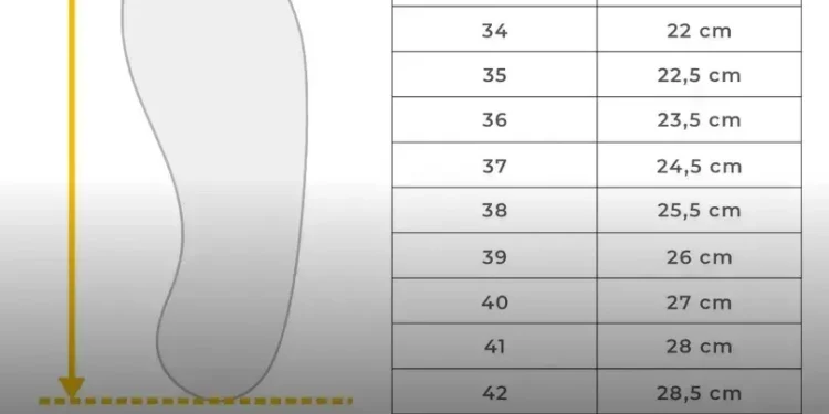 Conversão de Tamanhos Femininos e Masculinos