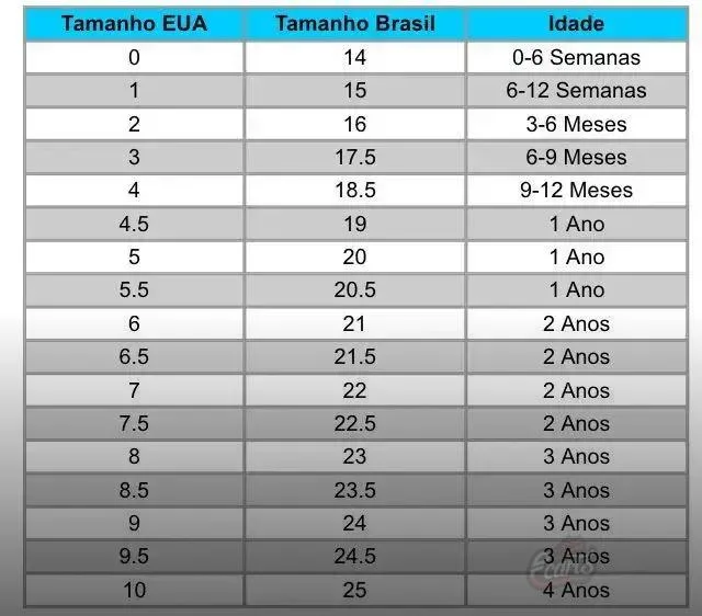 Entendendo os Tamanhos de Calçados Esportivos Entendendo os Tamanhos de Calçados Esportivos