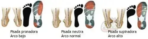 Escolhendo calçados adequados para cada tipo de pisada Escolhendo calçados adequados para cada tipo de pisada