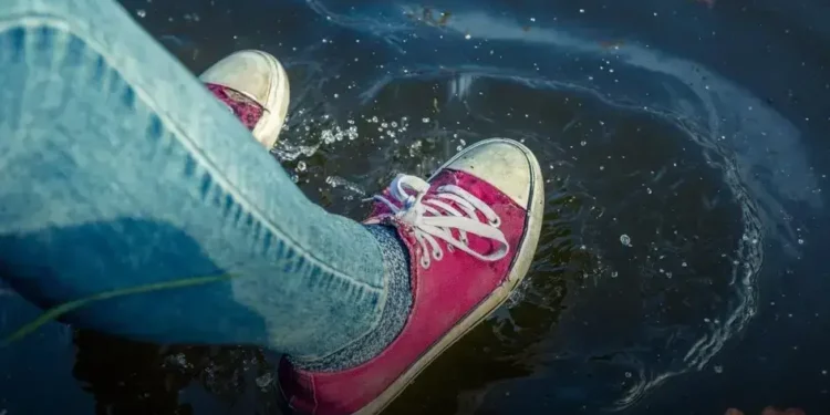 sapatilha aquatica feminina