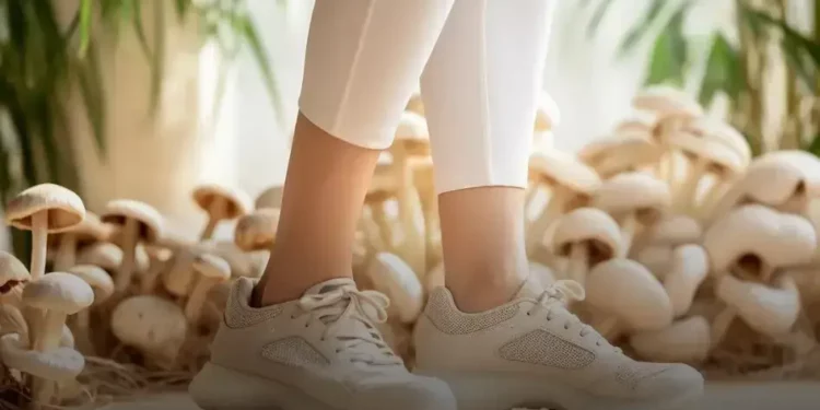 sapatilha ortopédico feminino