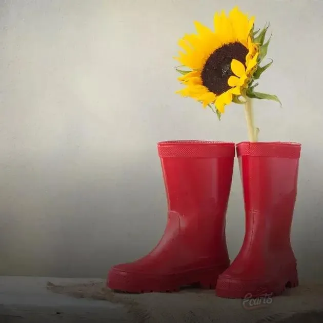 Tendências de botas coturno para o inverno deste ano Tendências de botas coturno para o inverno deste ano