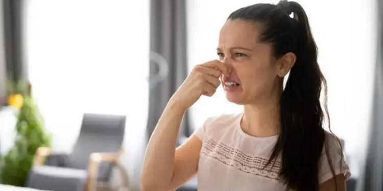 Como Acabar com Chulé no Pé: Guia Completo Para Eliminar o Mau Cheiro