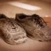 Como Tirar Chulé de Sapatos: Guia Infalível para Eliminar o Mau Odor