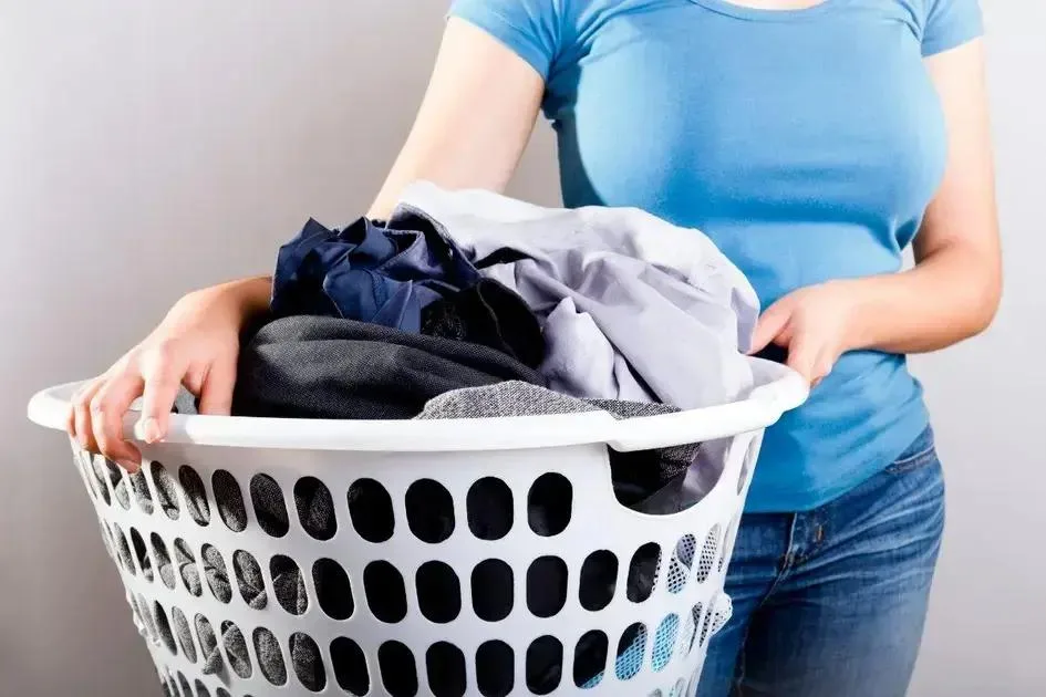 Dicas extras para combater o mau cheiro Dicas extras para combater o mau cheiro