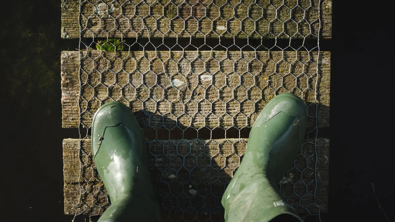 Overhead view of green rubber boots on a weathered wooden bridge.