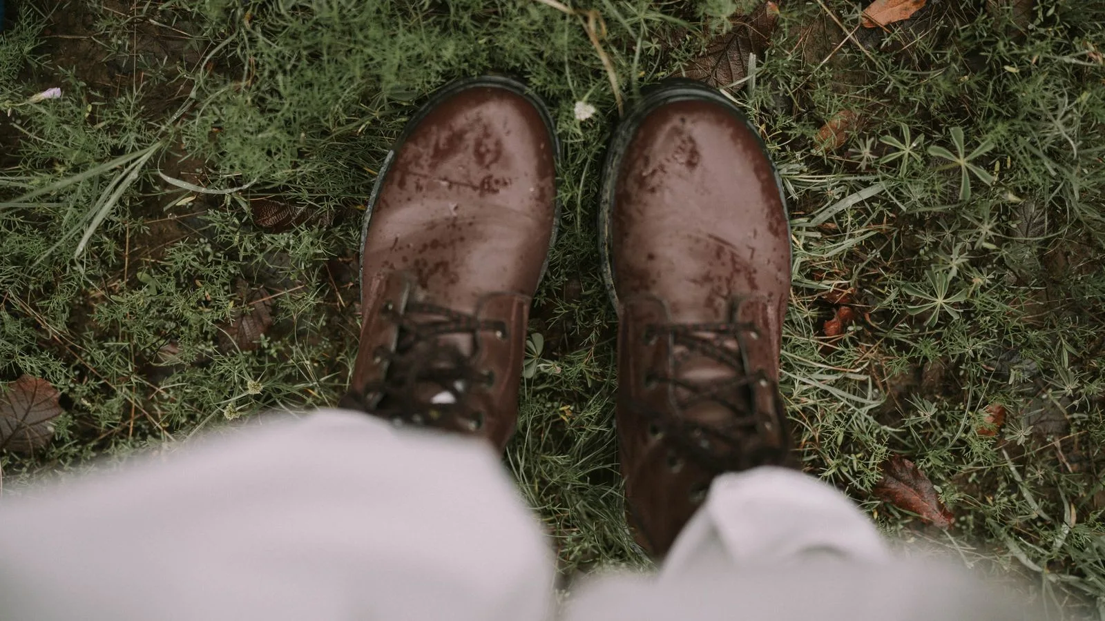 Top view of rain-soaked brown boots standing on lush green grass outdoors, showcasing a rugged style.