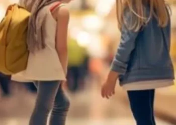 atacado vs varejo descubra o melhor para voce