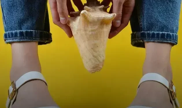 chinelos de borracha