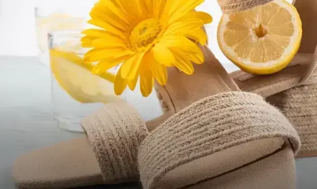 chinelos minimalistas