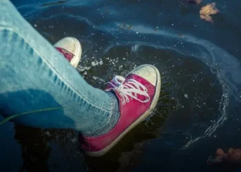 sapatilha aquatica feminina