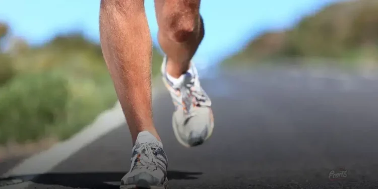 Tênis Masculino de Marca