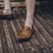 Mocassim Sem Meia: Guia Completo com Regras por Tipo, Looks e Cuidados