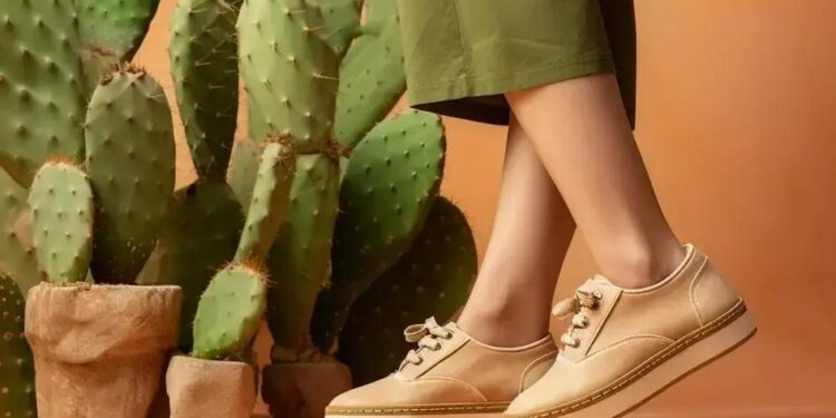 Calçados Paqueta Femininos: Guia Completo Para Escolher o Seu