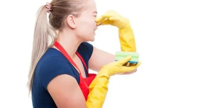O Que Acaba com Chulé? Guia Completo Para Pés Sem Cheiro