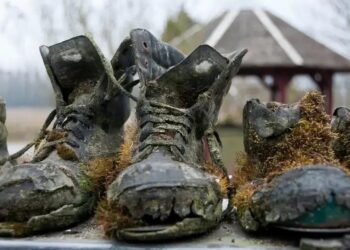 Sapatilha com Chulé? Diga Adeus ao Problema de Vez!