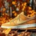Nike SB Ishod 2: A Nova Cor ‘Wheat’ para o Outono