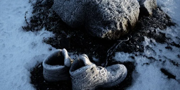 Tipos de Calçado: Comparativo Completo Para o Inverno 2026 (Botas, Coturnos, Tênis e Mais)